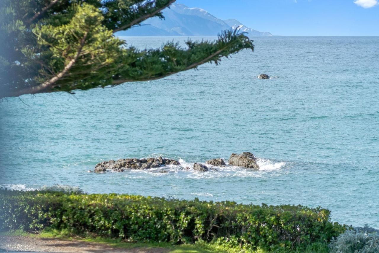 Kaikoura Waterfront Apartments Exteriér fotografie
